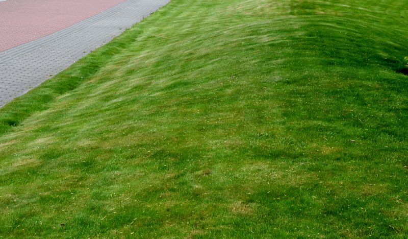 Lawn Regrading