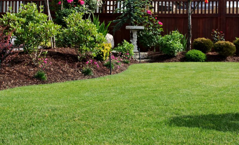 Lawn Regrading